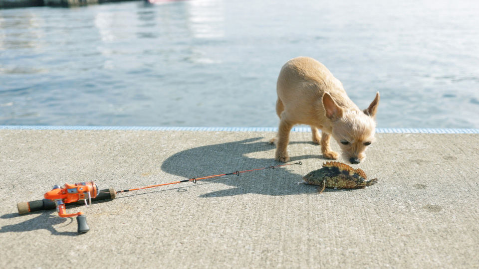 釣り魚について写真1